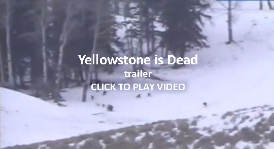 CLICK TO PLAY VIDEO